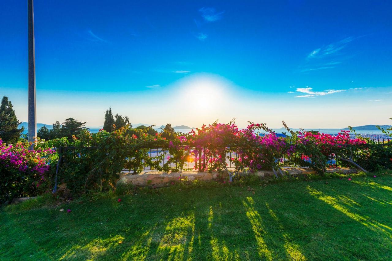 Willa Sunset Mavi Turgutreis Zewnętrze zdjęcie